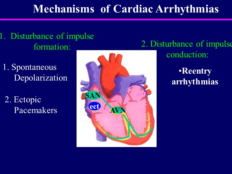 SAN AVN Mechanisms  of Cardiac Arrhythmias Disturbance of impulse formation:  1. Spontaneous
